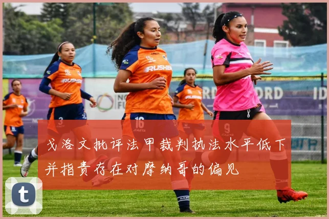 戈洛文批评法甲裁判执法水平低下并指责存在对摩纳哥的偏见
